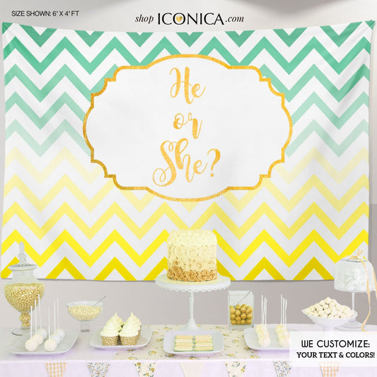 Chevron Gender Reveal Backdrop – He or She Baby Shower Banner