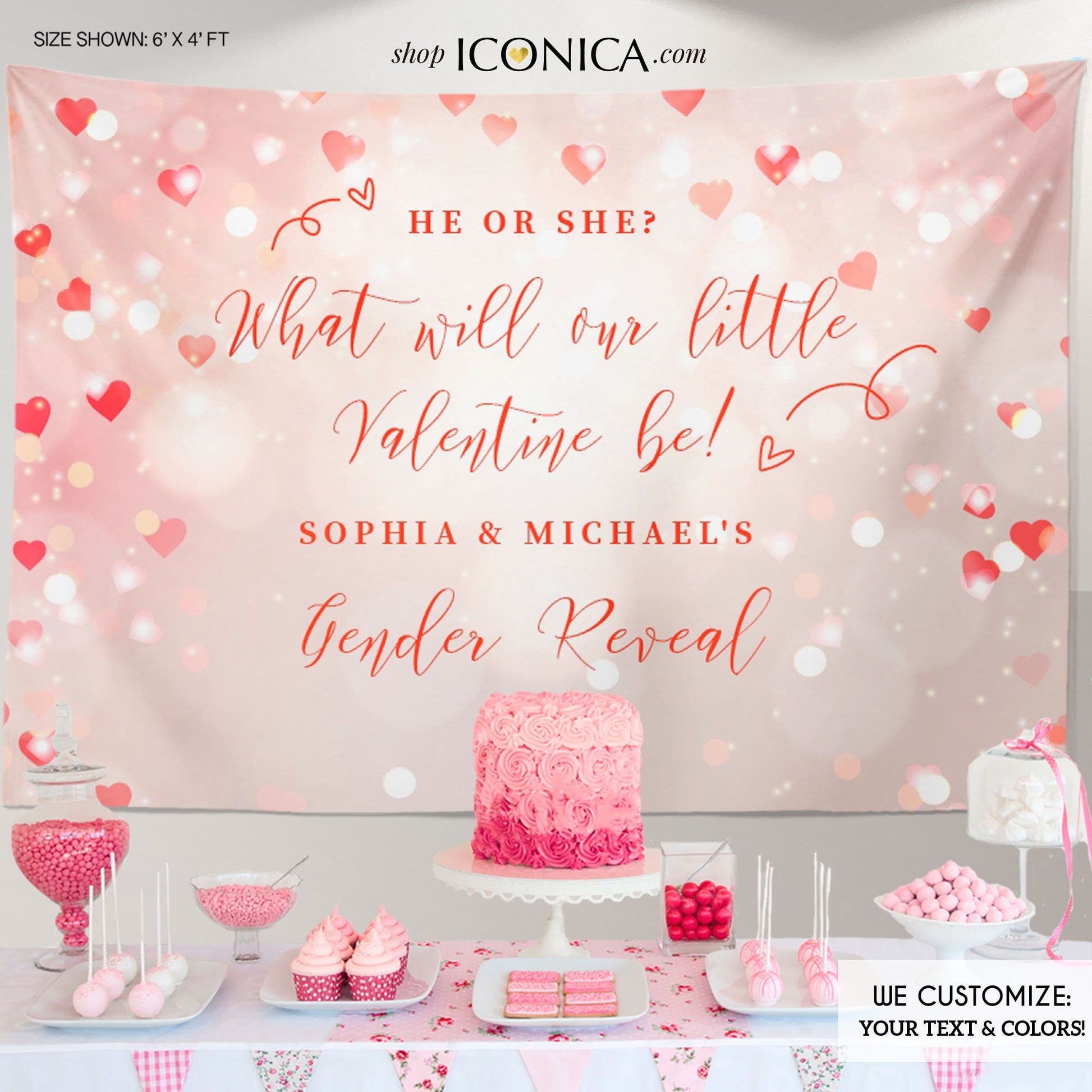 Valentines Gender Reveal Backdrop, He or She Banner, Heart Bokeh