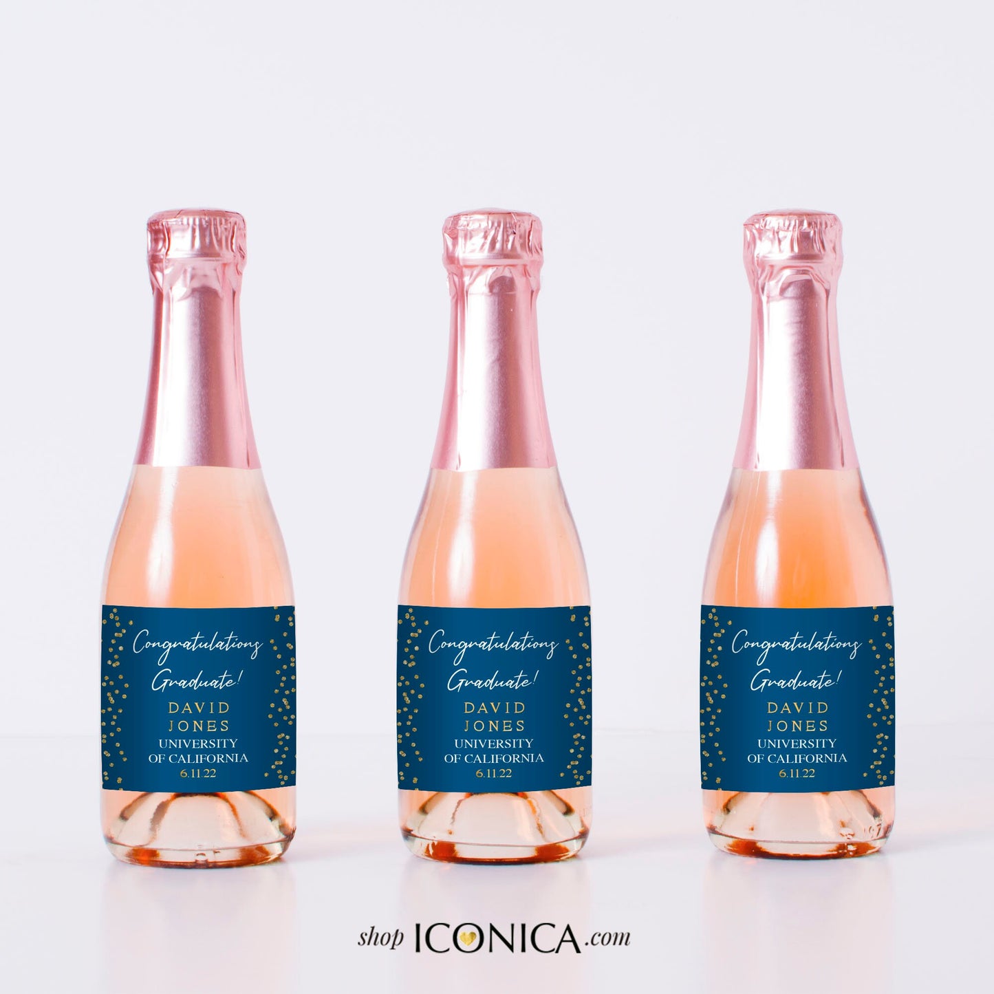 Personalized Mini Champagne Labels, Graduation Party Favors (Set of 10)