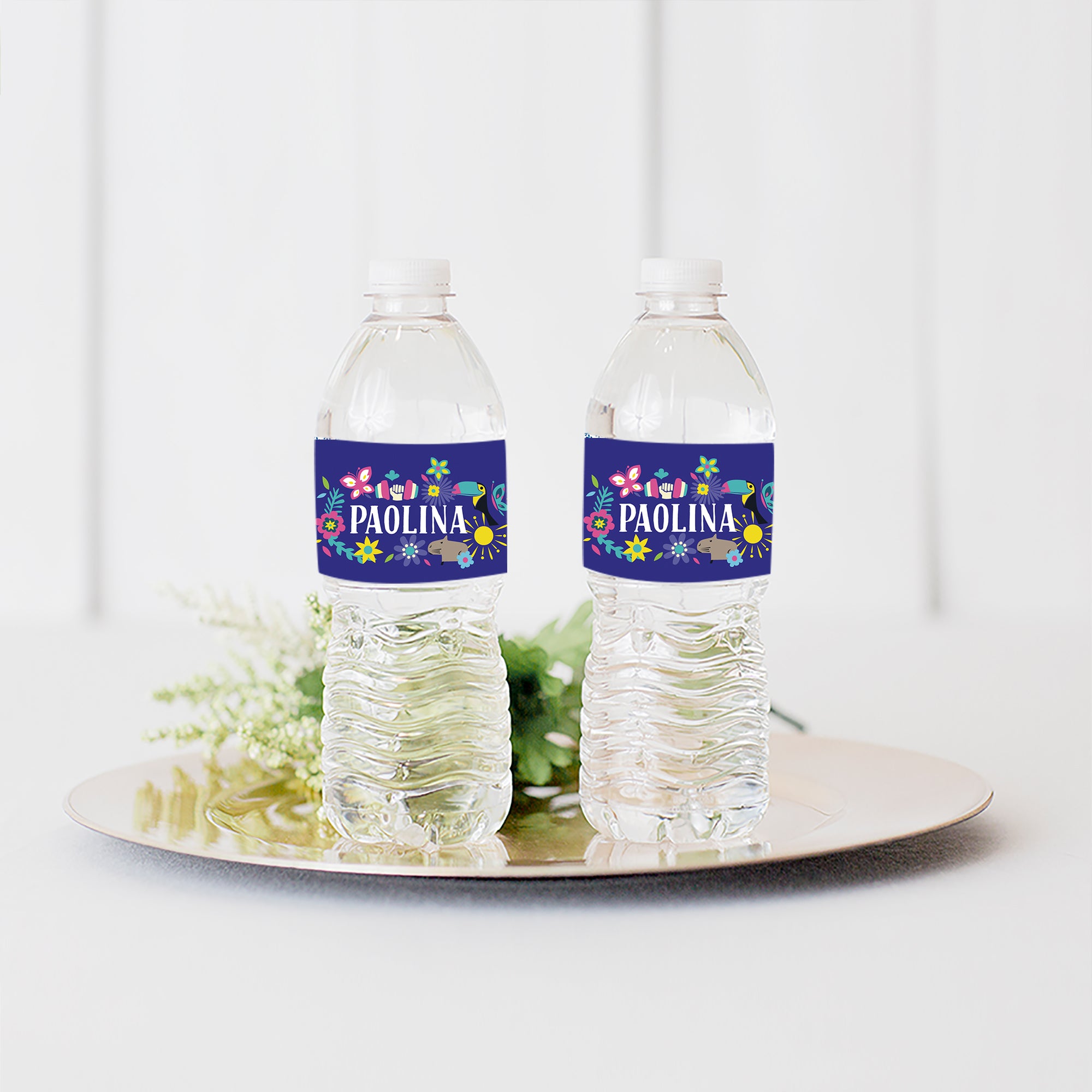 DIGITAL Encanto Water Bottle Labels Encanto Printable 