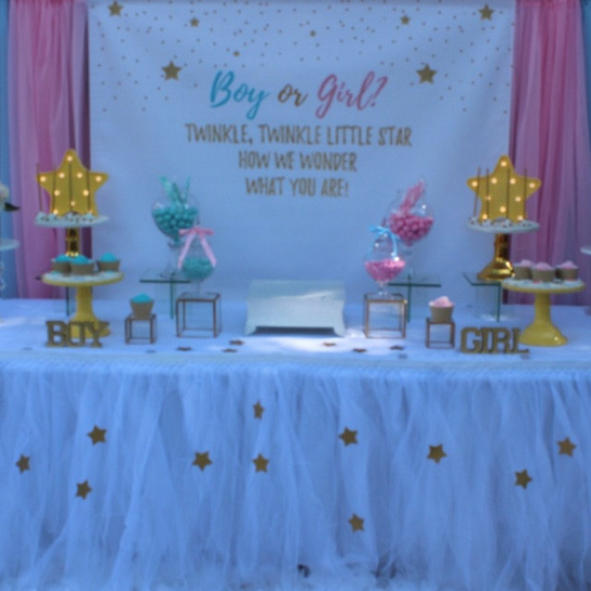 Twinkle Little Star Baby Shower Banner, Gender Revel Baby Shower, Boy or Girl , Pink or Blue Banner,