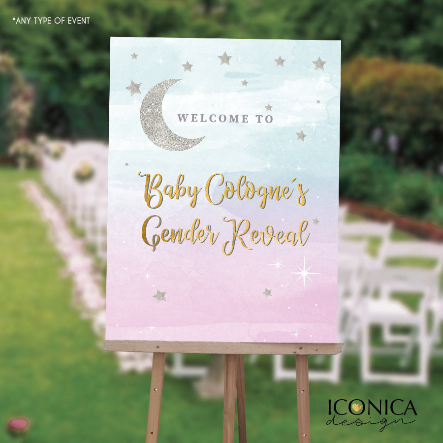 Twinkle Twinkle Welcome Sign , Gender Reveal Welcome Baby Sign, Pink or Blue Welcome Sign, Baby Shower Decor, Printed SWBS007