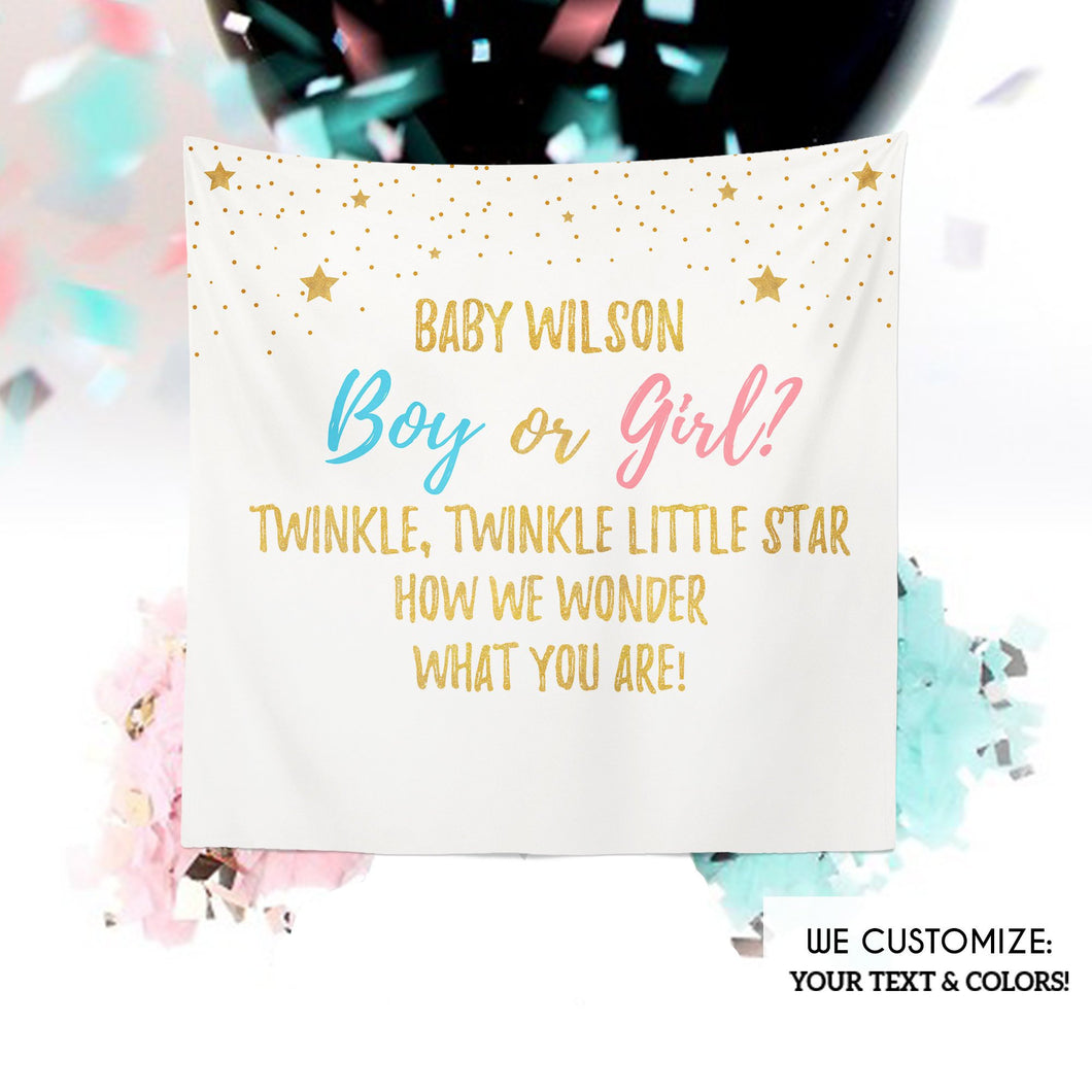 Twinkle Little Star Baby Shower Banner, Gender Revel Baby Shower, Boy or Girl , Pink or Blue Banner,